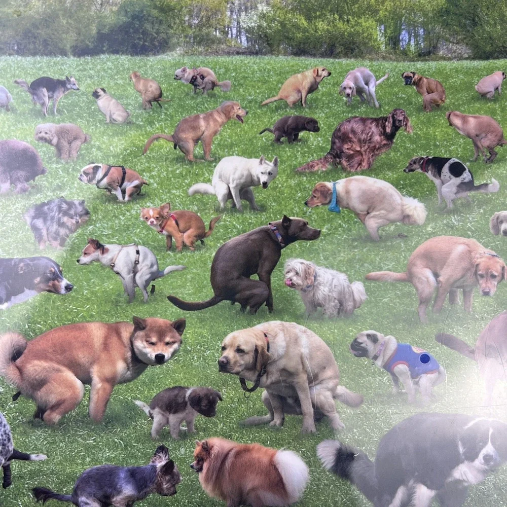 Gulf Conformity Mark pooping puppies